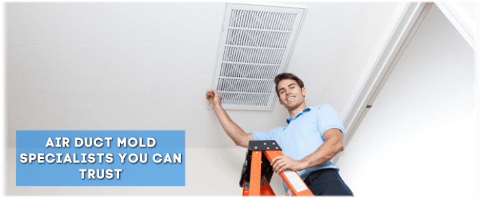 Air Duct Mold Removal in Plano TX
