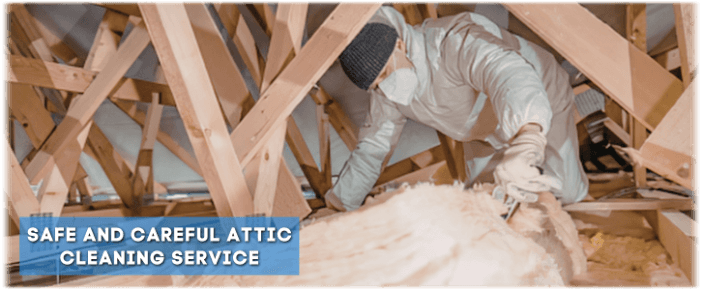 Attic Cleaning Plano TX
