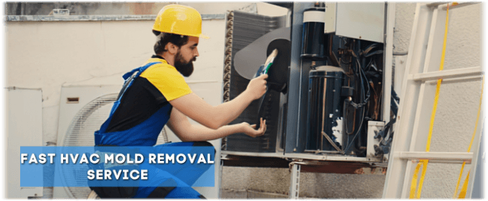 HVAC Mold Removal Plano TX